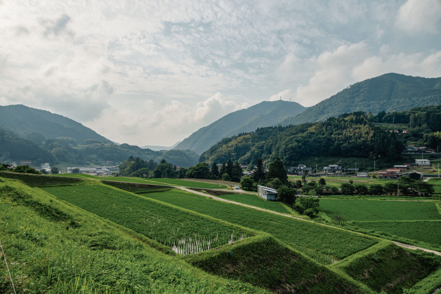植えの時期の田園風景（佐田町）