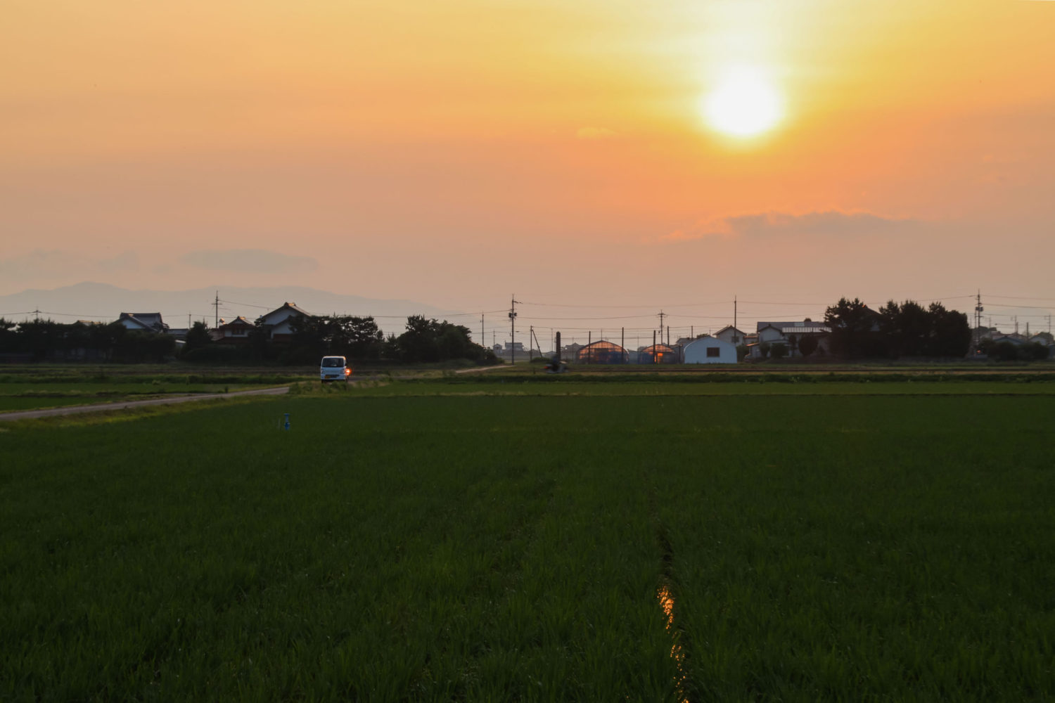 出雲平野に昇る朝日(斐川町)の写真